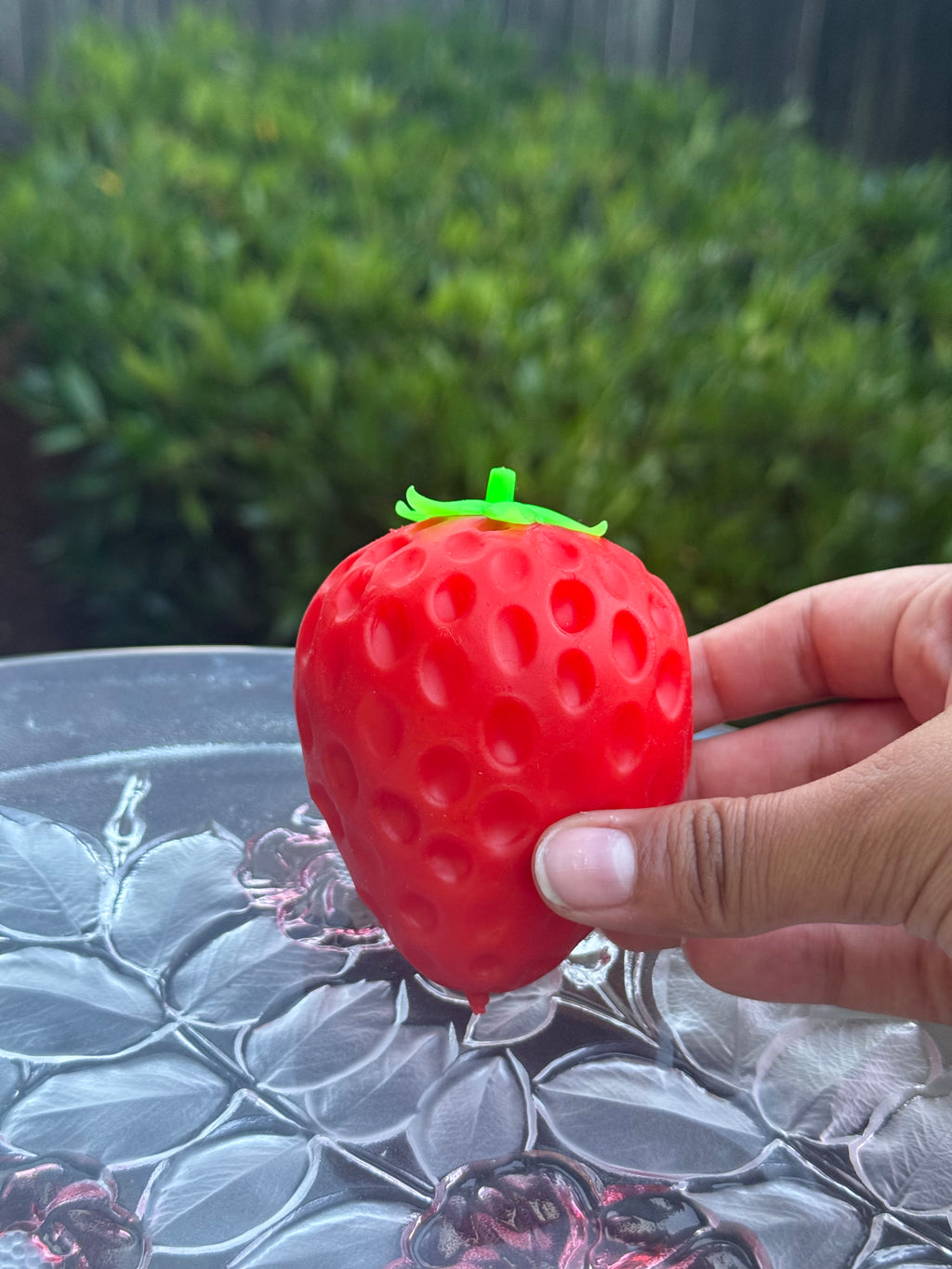 Crunchy Strawberry Squishy