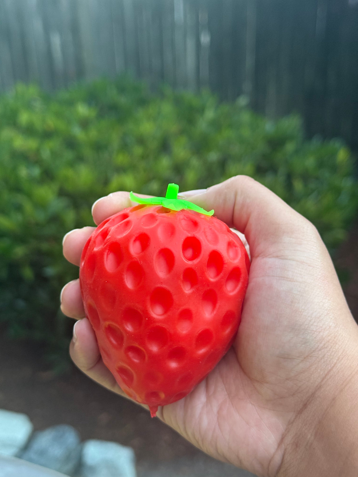 Crunchy Strawberry Squishy