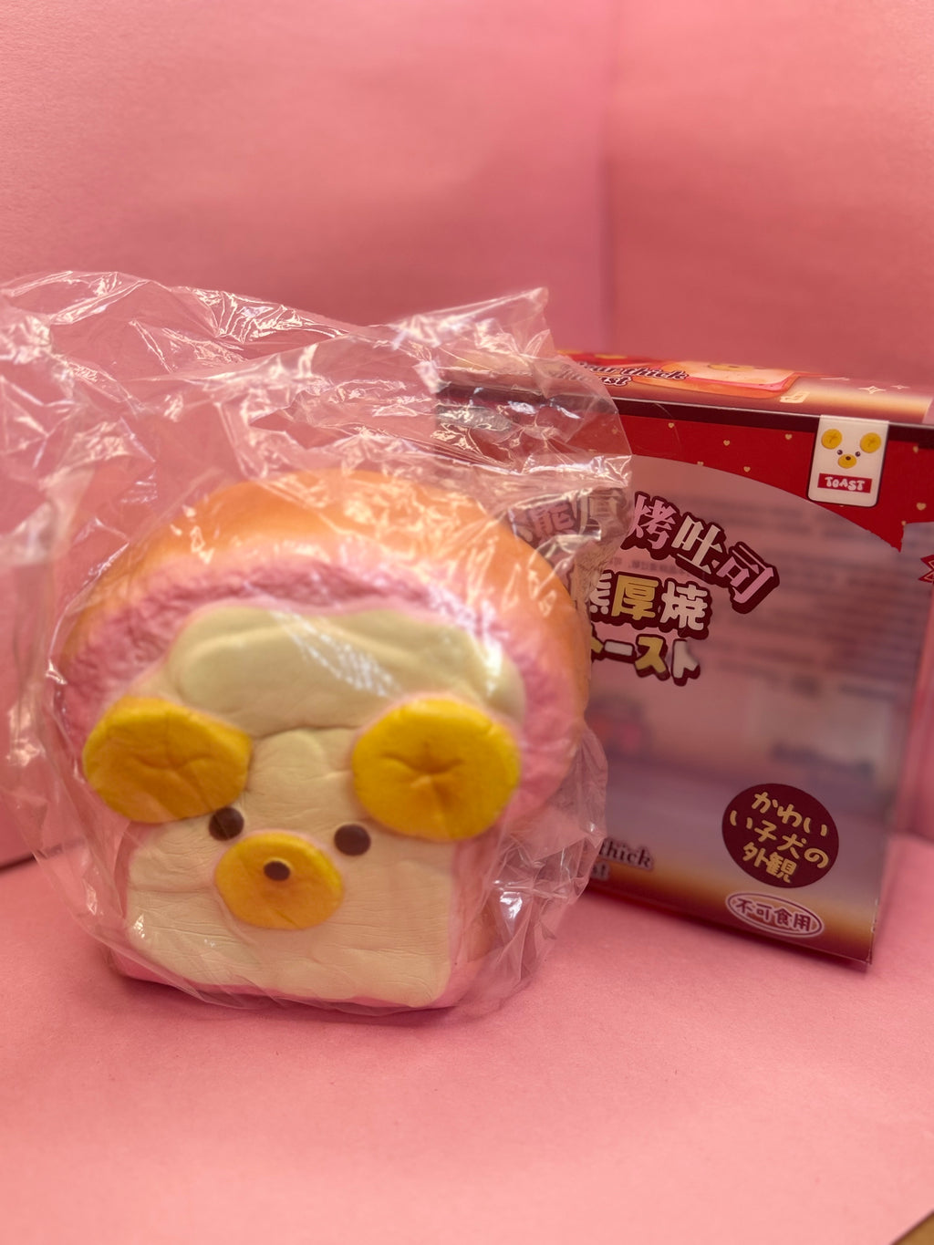 Dudo Thick Bear Toast