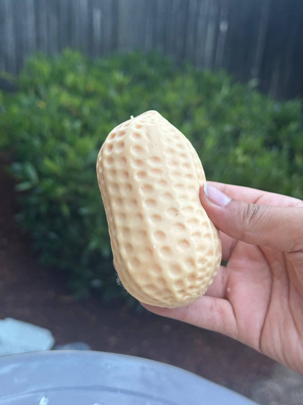 Crunchy Peanut Squishy