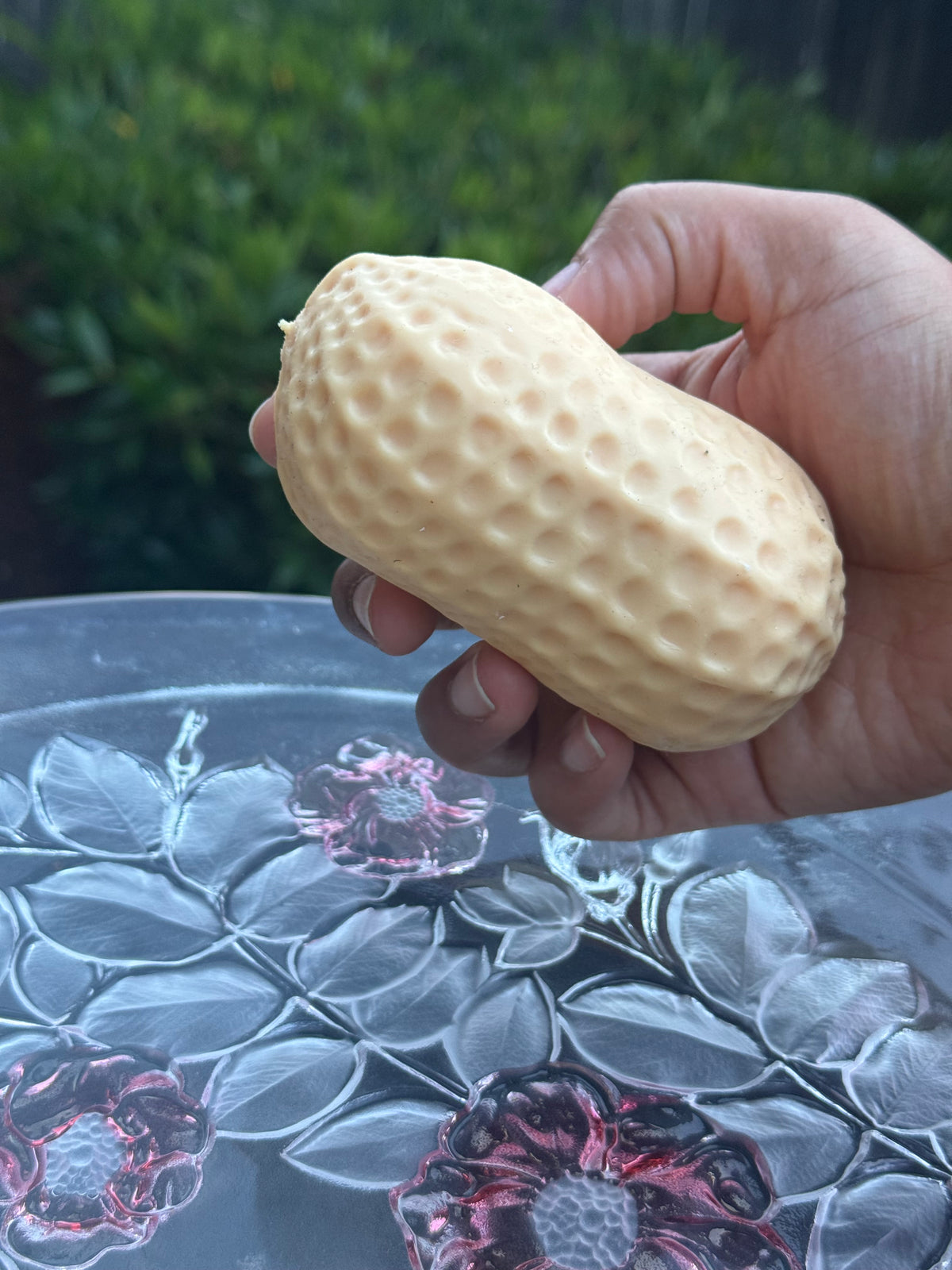 Crunchy Peanut Squishy