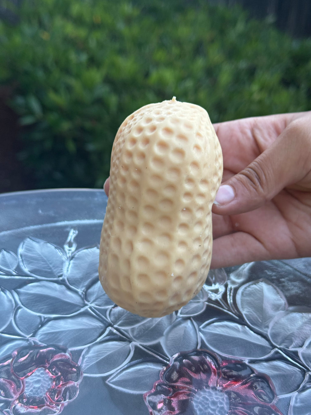 Crunchy Peanut Squishy