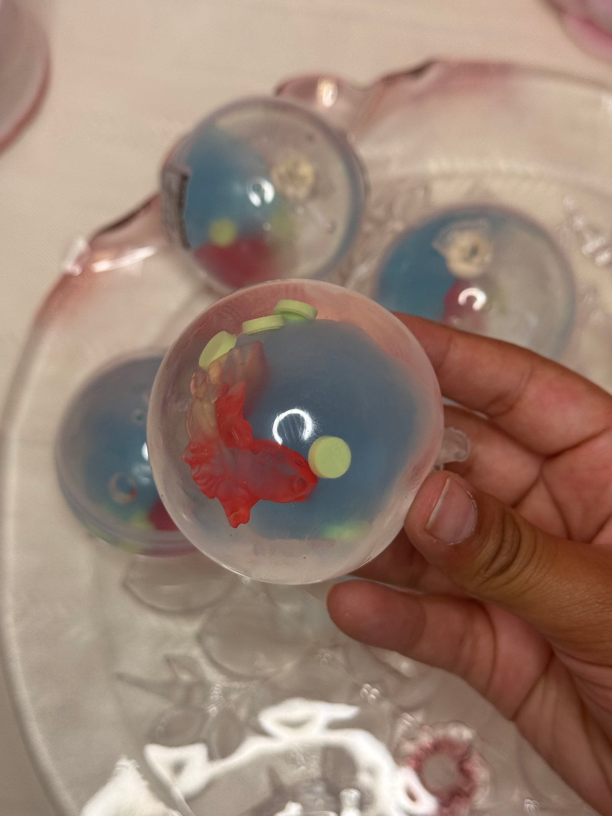 Tranquil Goldfish Pond- Handmade Coconut Jelly Ball
