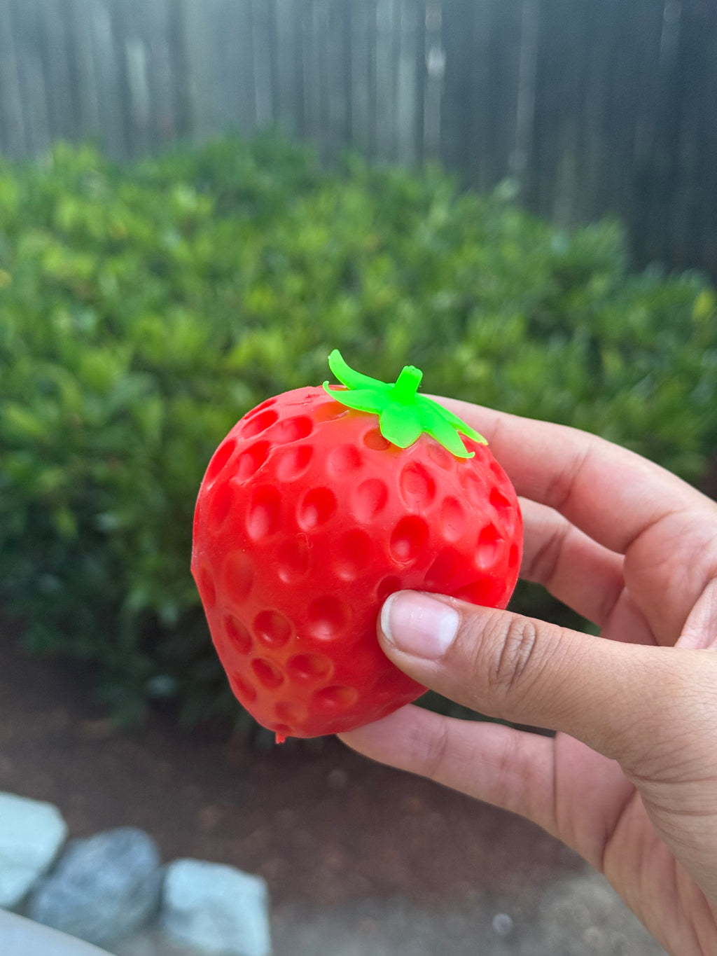 Crunchy Strawberry Squishy